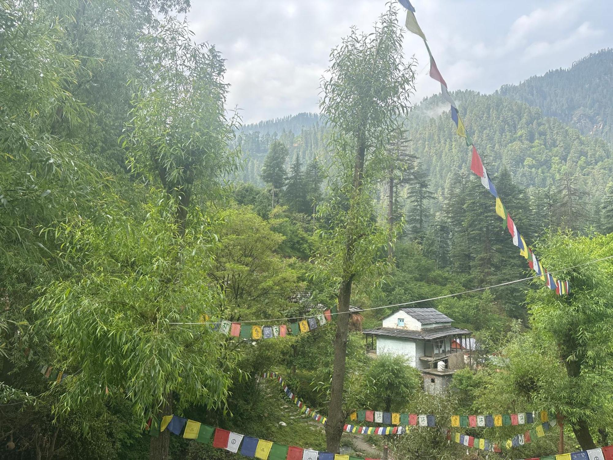 The Cozy Cabin, Jibhi Banjār Dış mekan fotoğraf