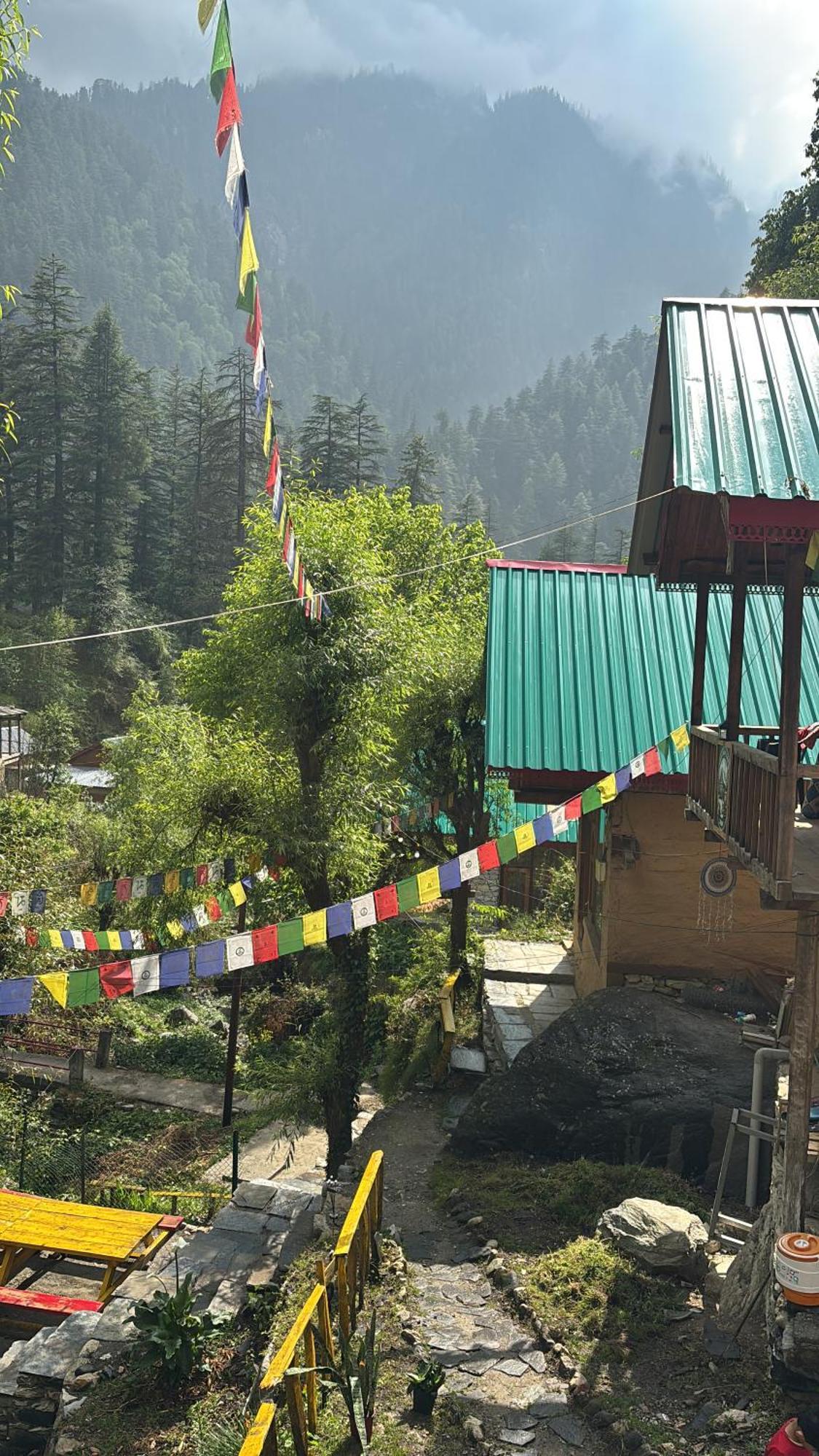 The Cozy Cabin, Jibhi Banjār Dış mekan fotoğraf