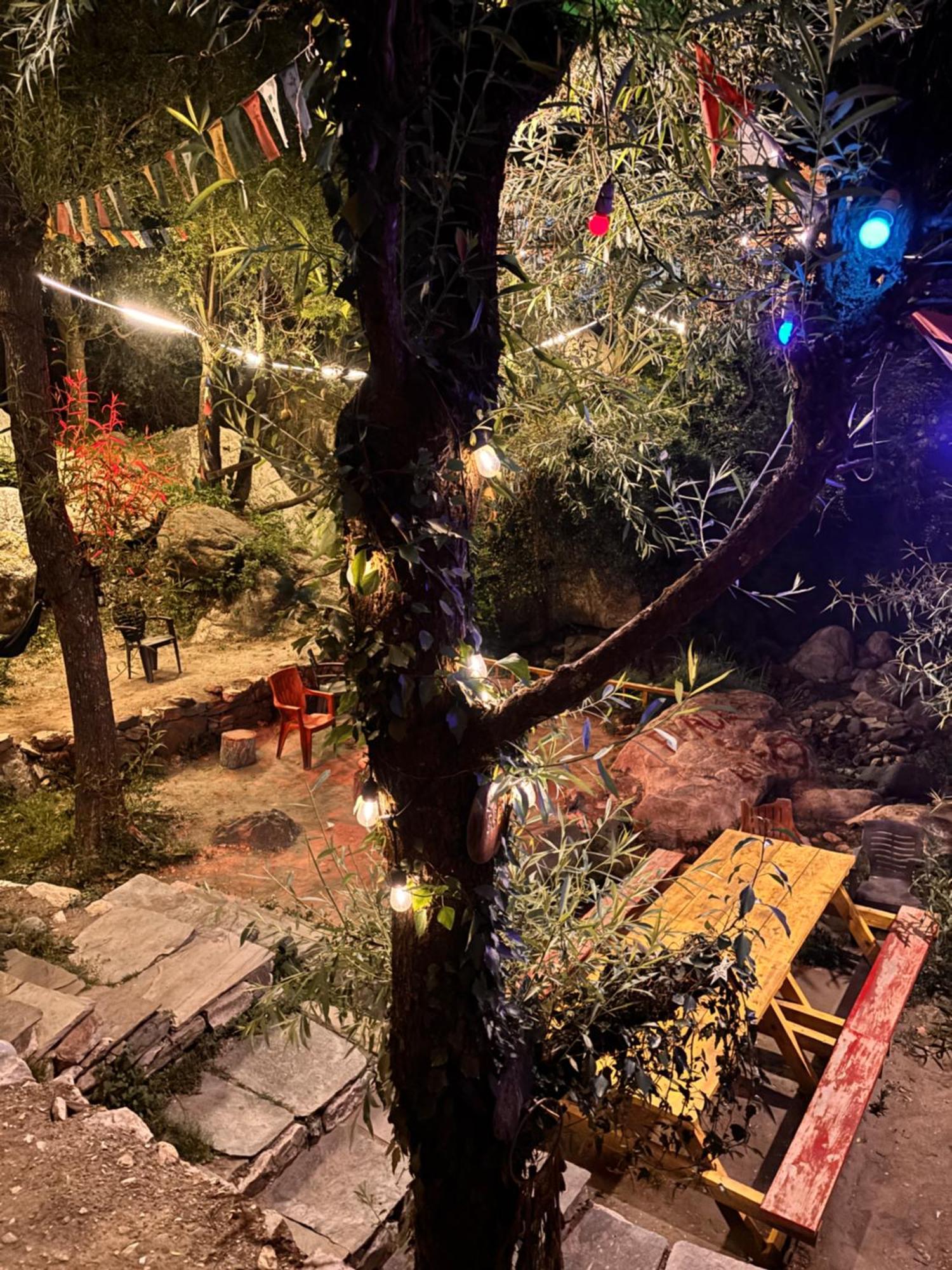 The Cozy Cabin, Jibhi Banjār Dış mekan fotoğraf